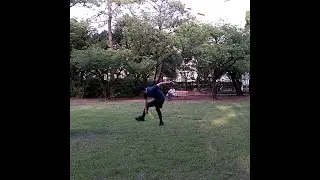 フリスビー（フライングディスク）フリースタイルの技に挑戦！2020.08　Technique of free style frisbee (flying disc)