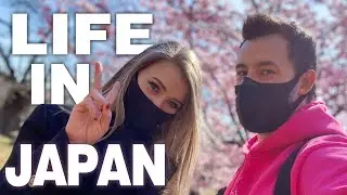 Spending 72 Hours in Japan | Snow to Sakura