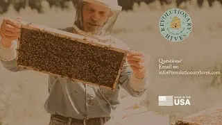 Revolutionary Hives Bee Buffet/Bee Raft Demonstration