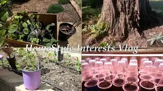 Fall Plant Sale, Bee Garden Planting, Sunflower Harvest, Boxwood Hedge Update | Vlog #13