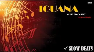 Qatar Oriental Reggaeton Type Beat Magical Instrumental Prod (Slowed + Reverb) | Slow Beats 🎧