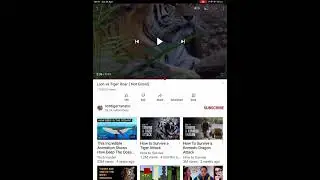 Trickfruits fly roar