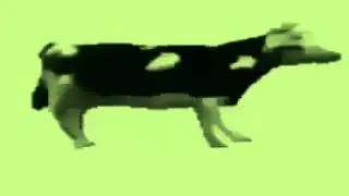 [S] Cow: Engage Trickster Mode