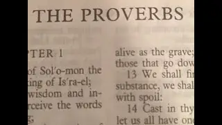 The Wisdom of PROVERBS Random Gleanings From Solomon