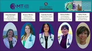 RUSVM Research Week 2025 3MT
