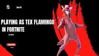 Playing as Tex Flamingo in the pit
