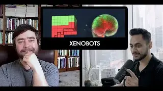 Xenobots: The World&rsquo;s First Living Robots