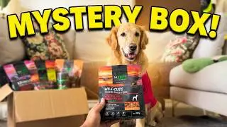 Surprise! Unboxing Her Mystery Dog Subscription Box!