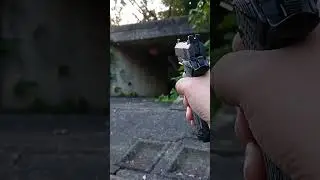 [ショート] スズメバチの巣破壊チャレンジ   #shorts #instagram #twitter #エアガン