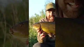 Right time of day, right bait, the best method! 🎣
