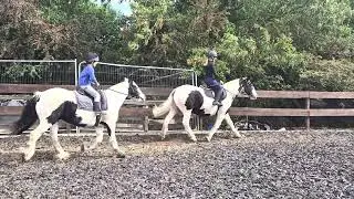 Arthur. Denzel. Panda