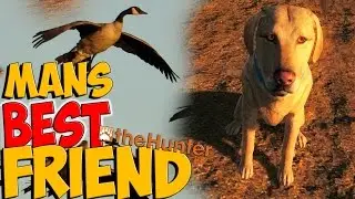 *NEW* Hunting With Retriever Dogs - theHunter 2015 PC Gameplay w/leeroy