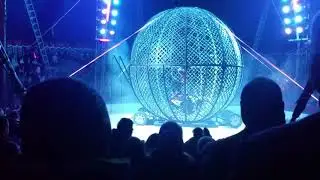 Circus Safari in Vienna 2017