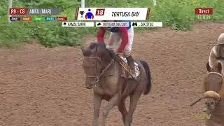 Live Hippodrome &laquo;CASABLANCA &raquo; Courses du &laquo; 30/01/2026 &raquo;