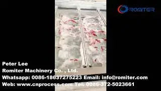 Automatic Fresh Chili Pepper Water Washing Machine