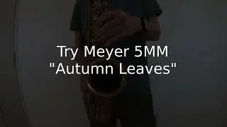 Meyer 5MMを試す