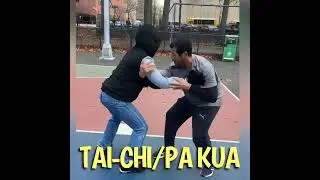 UNDERSTANDING PUSH HANDS FOR TAI-CHI/PA-KUA #taichi #pa-kua #baguaquan 