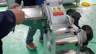 Potato, onion, carrot, celery and dicing machine Replacement blade 馬鈴薯洋蔥胡蘿蔔沙葛芹菜切丁機 更換刀具