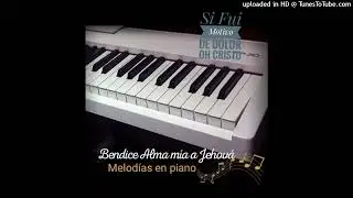 Si Fui Motivo de dolor Oh Cristo