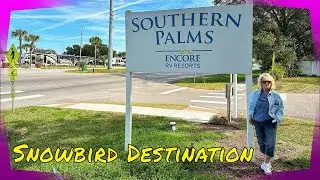 Southern Palms RV Resort | Snowbird Destination