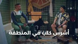 ده شريف.. تيمون وبومبا اشتروا كلب وطلع مستكلب 😱😂 #رجالة_البيت