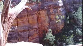 ZionNP Utah 2013 13