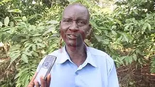 ETTEMU E KAYUNGA:  Waliwo abatugumbudde namukadde mu lumbe