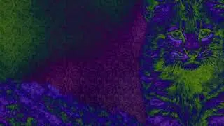 DZRT ANML - SPACE RIFF