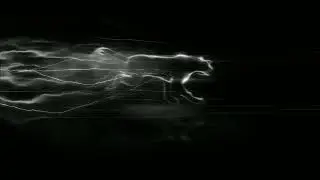 Tiger run effect