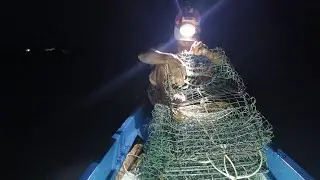 Nay trúng cua đá nhiều quá.