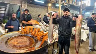 The largest fish market in Iraq | The best and cheapest street for popular food in Iraq, Mosul