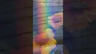 The Light of a Thousand Year old Explosion - Dahms'd