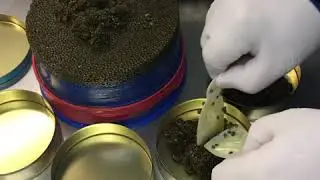Caviar Sos packing caviar/Caviar Sos envasando caviar iran&iacute;