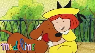 Madeline e o Cão Cantor | Madeline Portuguêse - WildBrain | Episódios Completos