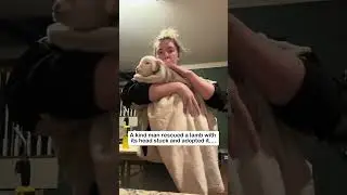 Love warms the lamb #wildliferescue #animals #animalfriendshipgoals #rescue #cute#lamb #lovestory