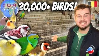 The World&rsquo;s LARGEST Bird Show (20,000+ BIRDS!) COM Mondial 2026 
