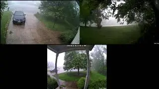 Tree destroys hood and windshield of car (no sound).