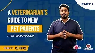 A Veterinarian's Guide To New Pet Parents l Pawsindia x Superpets Small Animal Clinic