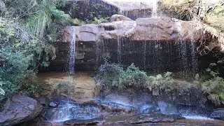 Lawson Park #bushwalking #waterfall #fairyfalls #nsw #visitnsw