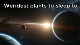 Sleep Stories - Weirdest Planets [Fall asleep quickly]