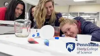 Why Study Chemistry as an Undergraduate?