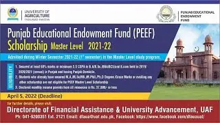 How to apply for PEEF Scholarship Punjab,Which Document Required to submit 2022 #PEEF #uaf