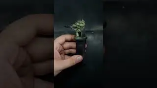 Как использовать размазанную грязь #warhammer40k #миниатюра