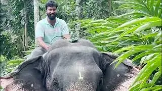 Epic South India Adventure | Trailer