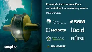 Market Focus | Econom&iacute;a azul: Innovaci&oacute;n y sostenibilidad en oc&eacute;anos y mares