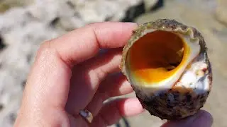 Visiting Digyo Island Philippines