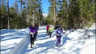 Winterwanderung zwischen Lantsch und Lenzerheide (GR) / 09.02.22
