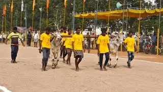 నరసరావుపేట పాల పళ్ళు 3వ వల్లపు రెడ్డి. కాశిరావు గారు పాపినేనిపల్లె గ్రామం ప్రకాశం జిల్లా...