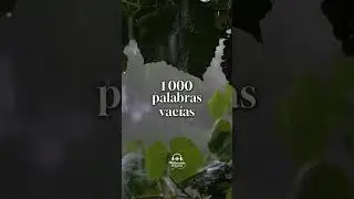 &ldquo;Una conversaci&oacute;n honesta puede sanar lo que el silencio rompi&oacute;&rdquo; | Videos Motivacionales y Reflexi&oacute;n