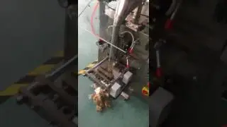 Jelly Bean Packaging Machine